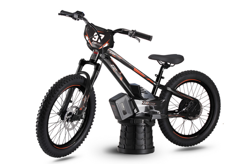 GO BIKE EBIKE (BLACK/ORANGE)