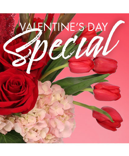 Valentine's Day Special
