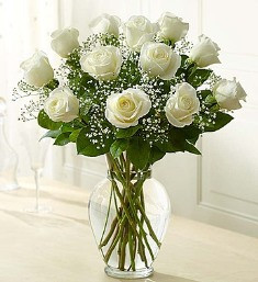 12 White Roses