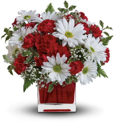 Red And White Delight