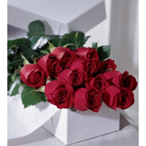 12 Red Roses Gift Boxed