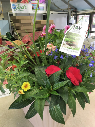 Patio Planter
