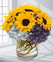 Sunflower Fantasy