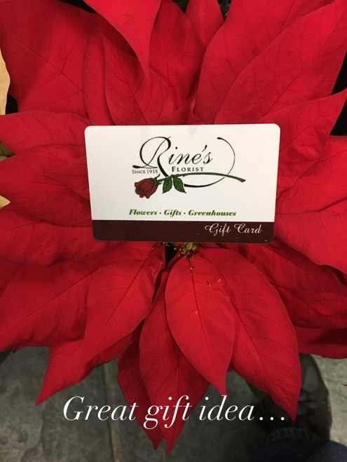 Gift Card & Poinsettia