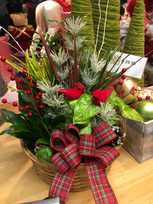 One of our delight holiday garden gifts...