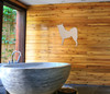 Finnish Spitz Wall Art: Gift for Dog Lovers