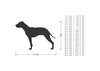 Wooden American Pitbull Terrier Wall Art | Dog Silhouette Cutout