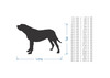 Wooden Mastiff Dog Wall Art Silhouette Cutout - Gift for Pet Lovers