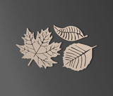 Wooden Leaf Group (Set of 3) - Cutout, Home Decor