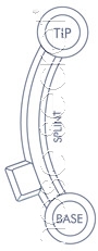 NoseSecret Splint Diagram