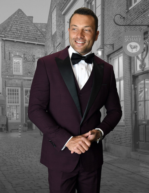 Alberto Suit in Burgundy