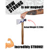 HOW STRONG is our magnet? Incredibly STRONG! Capable of lifting 2.23 pounds!