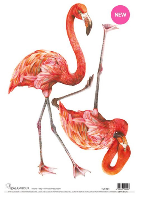 Calambour Two Flamingo  A3