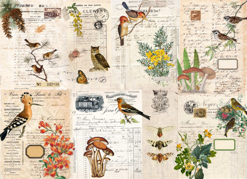 Botanical Project blocks Botanical Project blocks