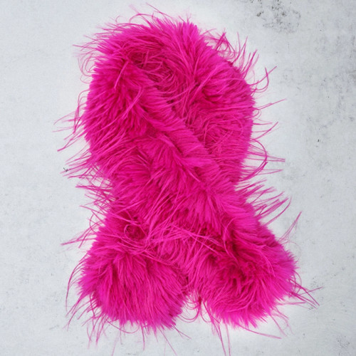 Fuchsia