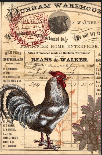 Country Rooster