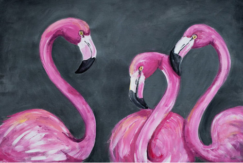 Flamingos