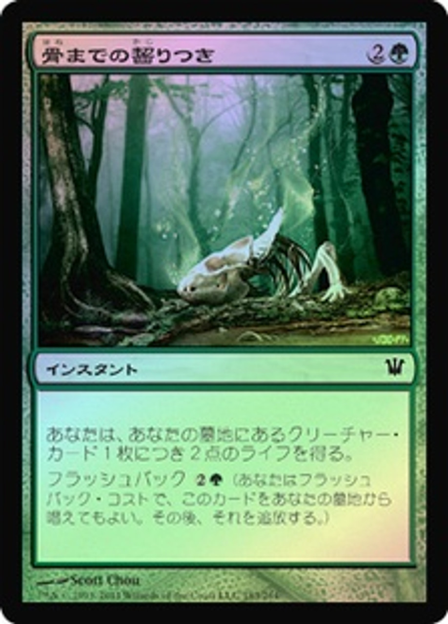 Gnaw to the Bone | Innistrad - Japanese | Star City Games