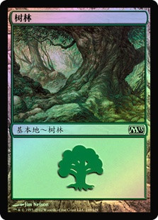 Forest (#249) | Magic 2013 - Chinese - Simplified | Star City Games