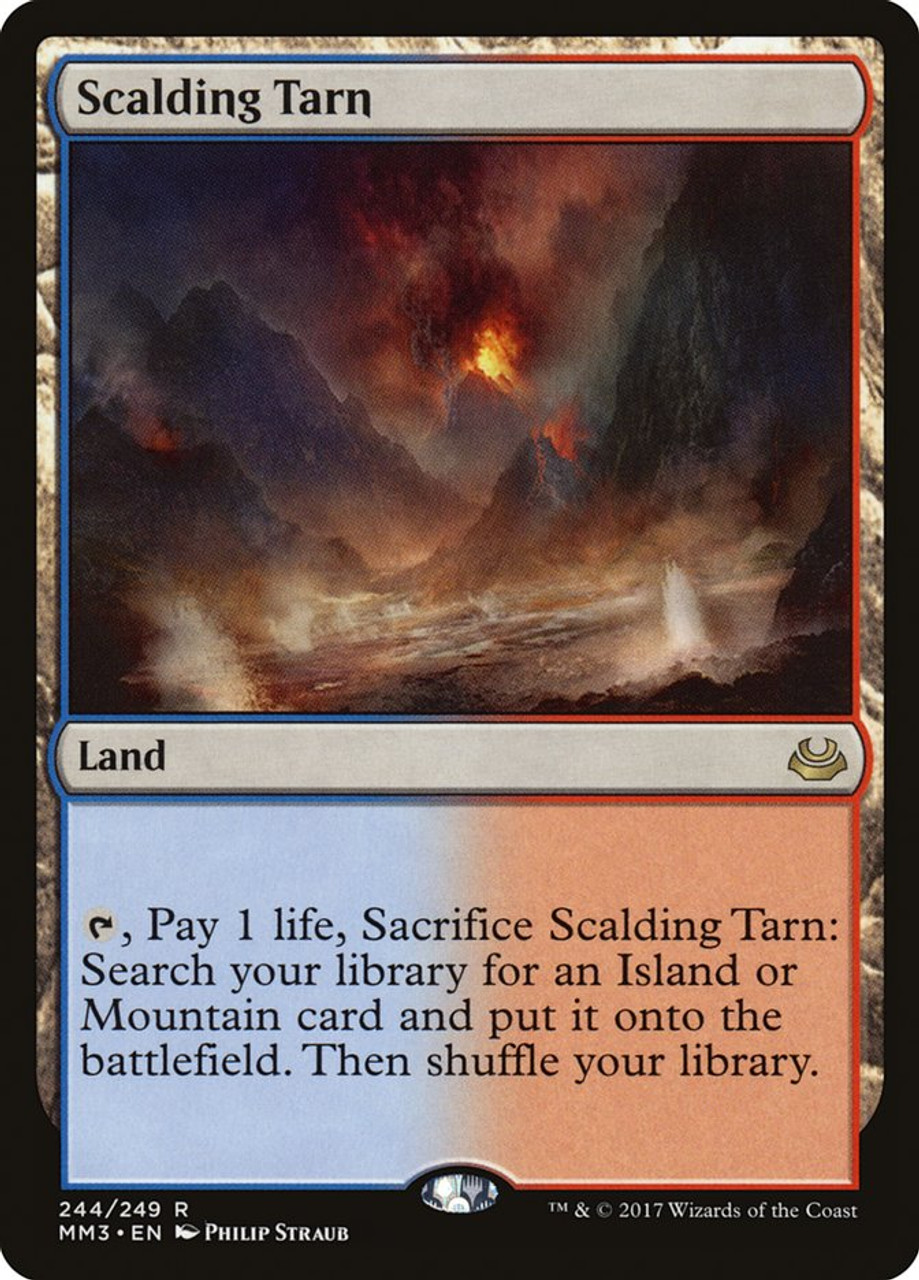 MTG Scalding Tarn 4枚セット Scalding Tarn (Borderless) | Special Guests | Star City Games