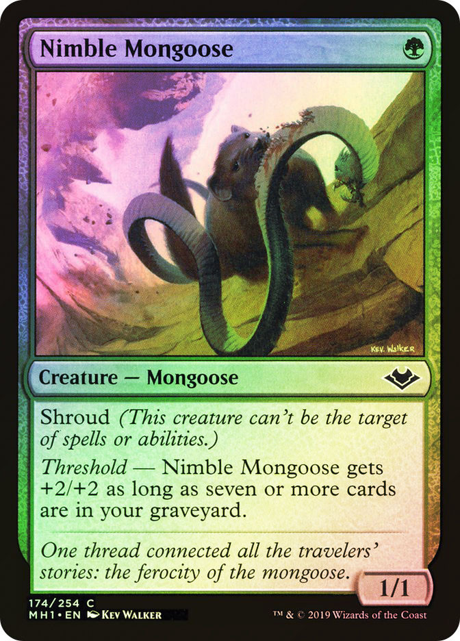Nimble Mongoose | Modern Horizons | Star City Games
