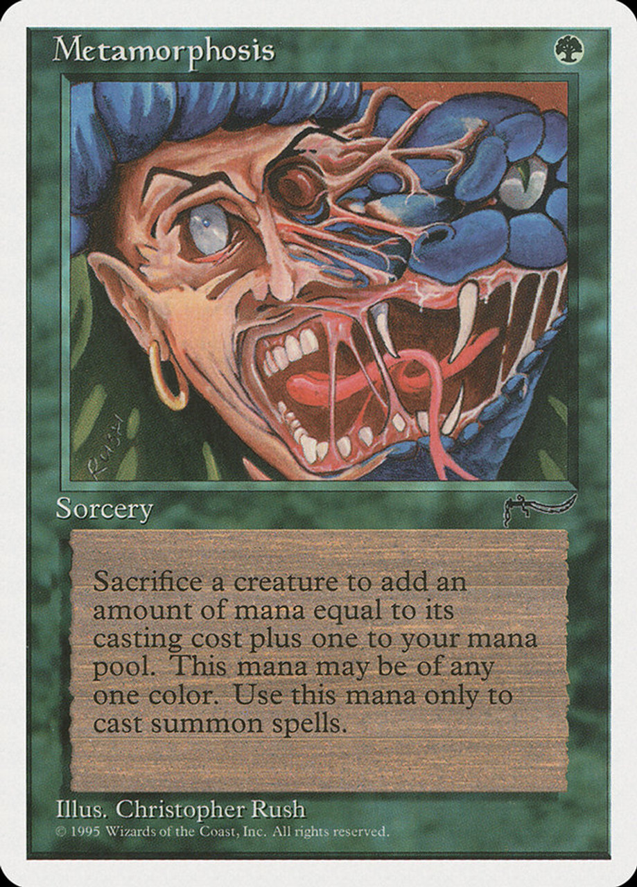 拡張アート　変化の狂信者/morphosis Fanatic 拡張アート 変化の狂信者/morphosis Fanatic MTG 変化の狂信者
