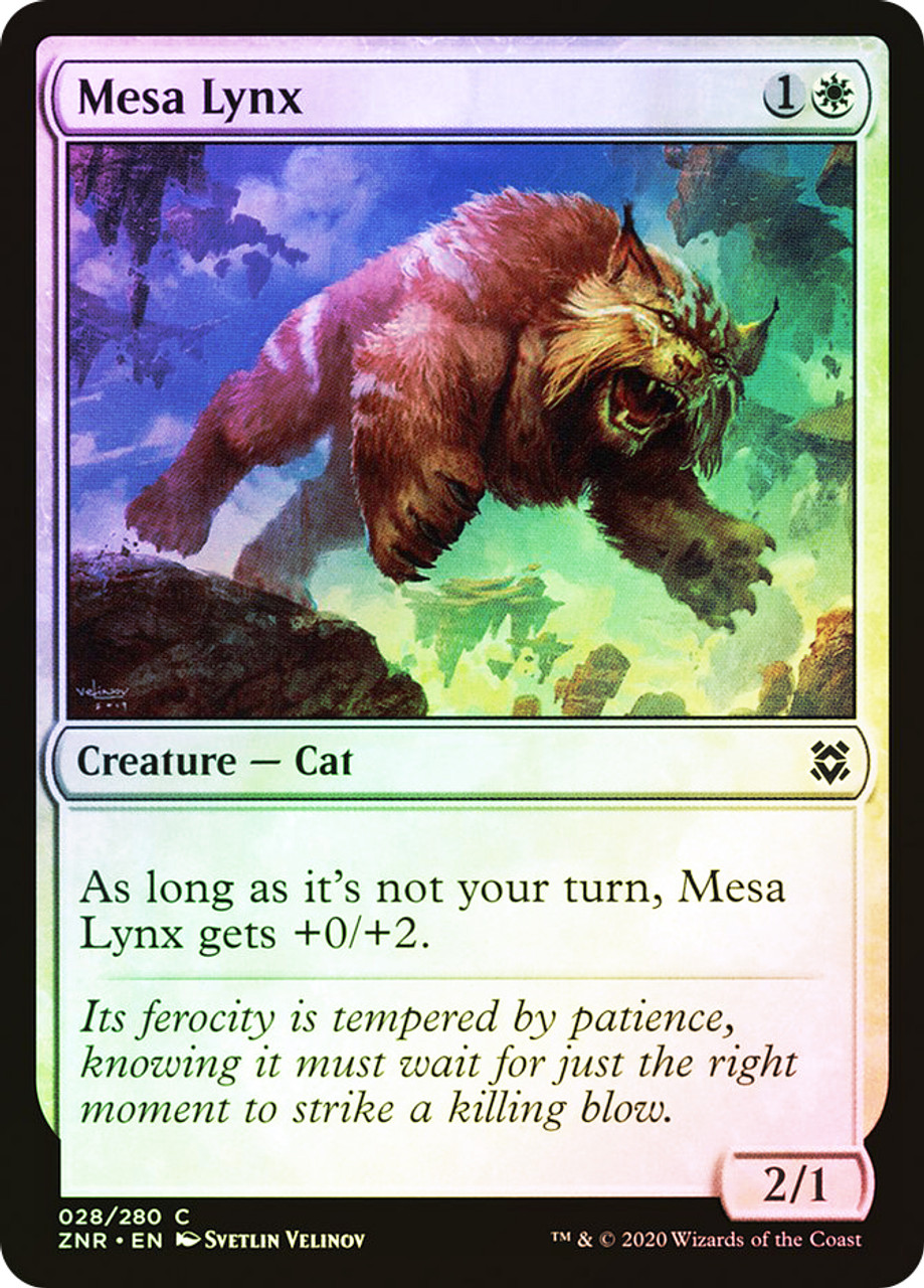 【Foil】冬月台地/Wintermoon Mesa[PCY]日本語 冬月台地/Wintermoon Mesa》[PCY] 土地R | 日本最大級 MTG通販