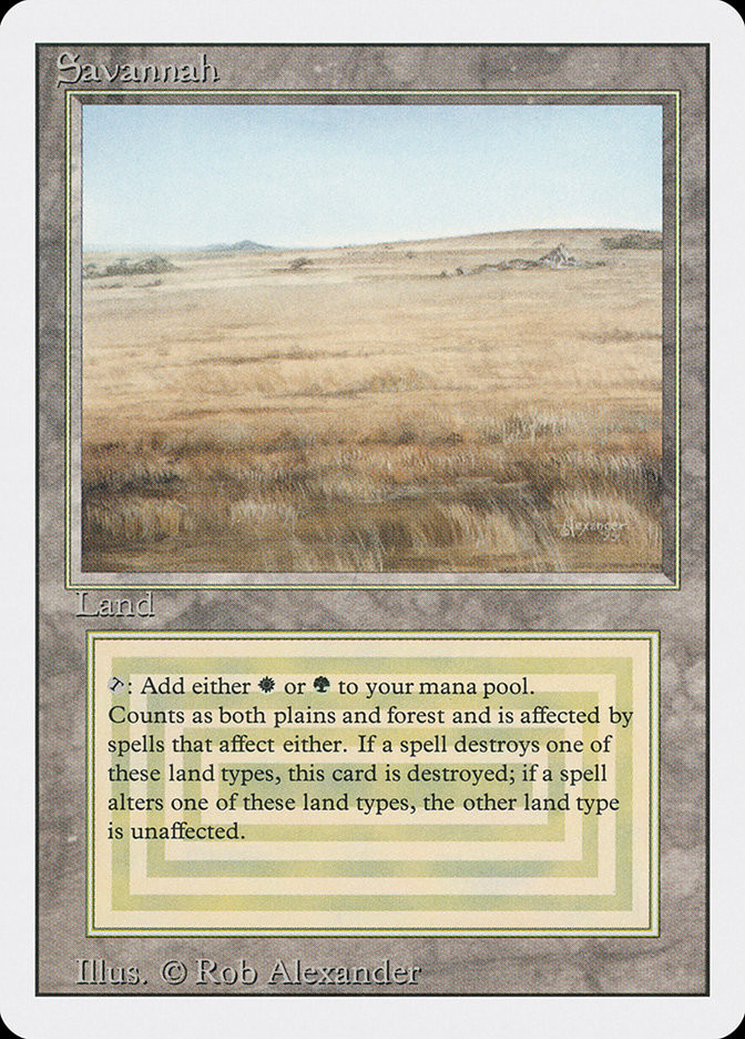 savannah card mtg (281)| Magic: The Gathering Forest Plains MtG Foundations Uncommon Savannah Lions