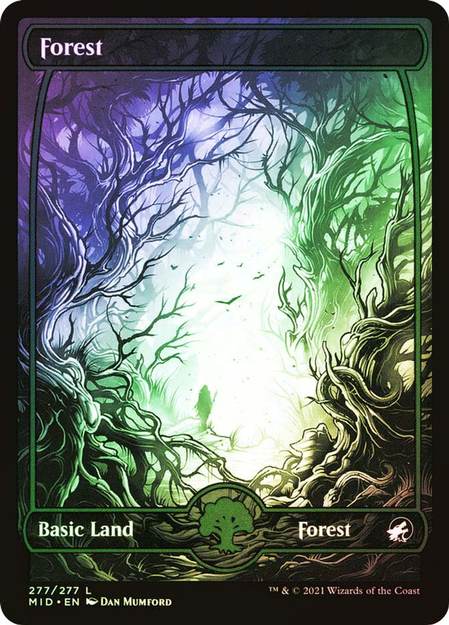 MTG　森/Forest　英語版プロモFOIL　サインド　USG Forest | Promotional | Card Kingdom