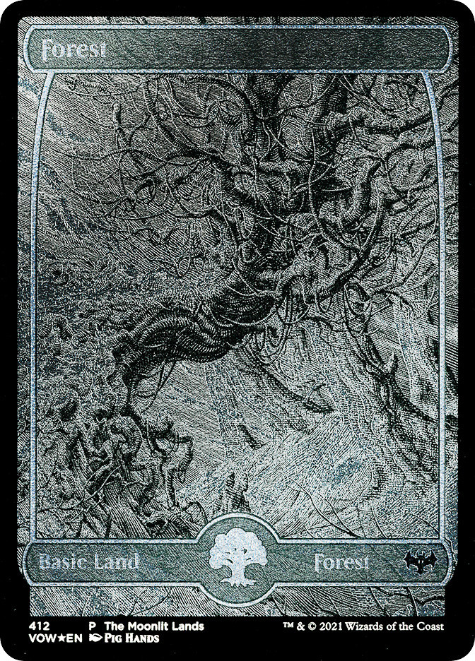 Forest (The Moonlit Lands) (Foil Etched) Promo General Alternate