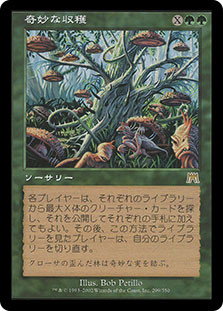 Magic Sanctum Of Fruitful Harvest - Santuario Del Raccolto Fruttuoso [m21] [nm