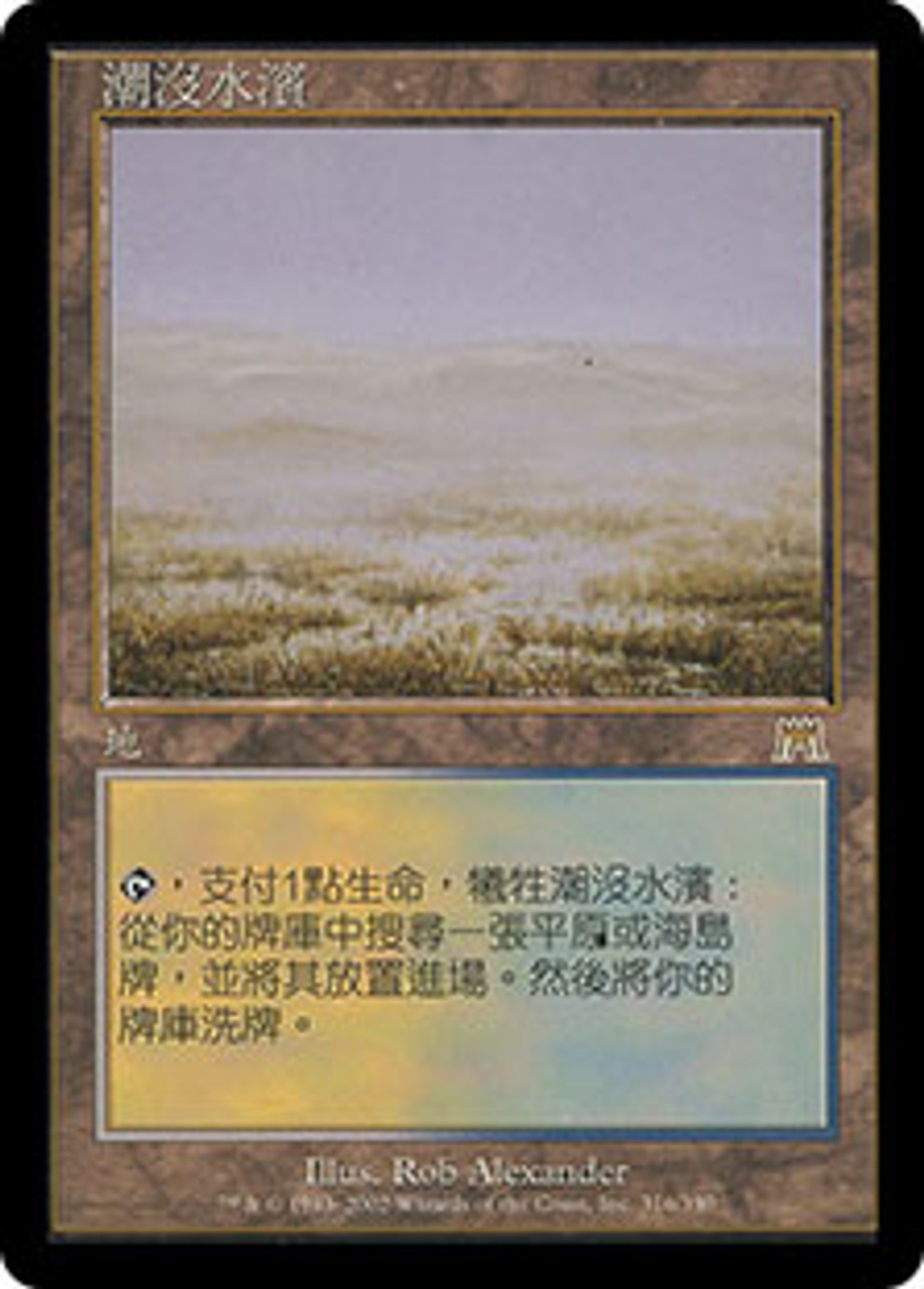Flooded Strand | Onslaught - Chinese - Traditional | Star
