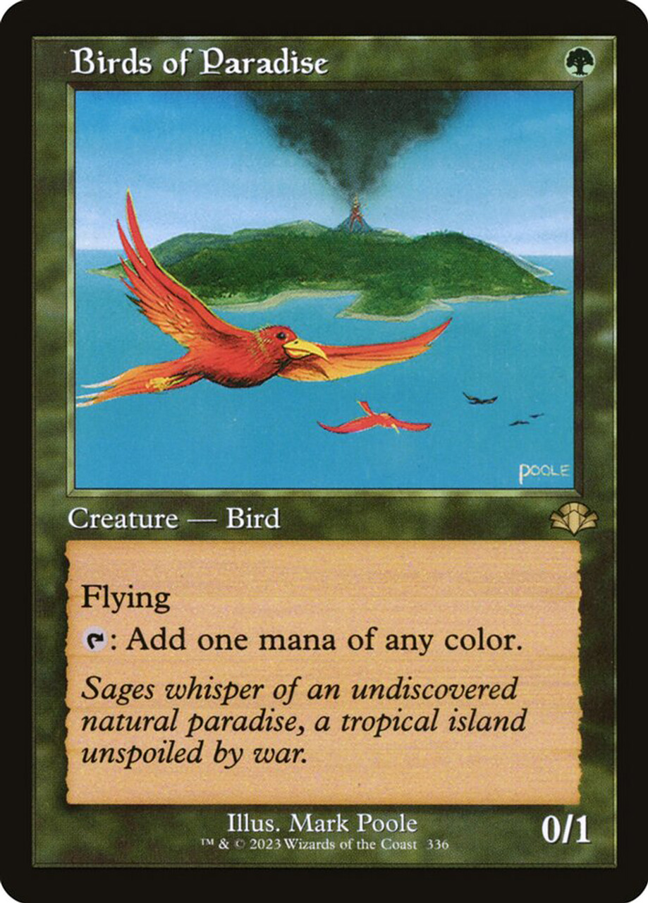 Birds of Paradise