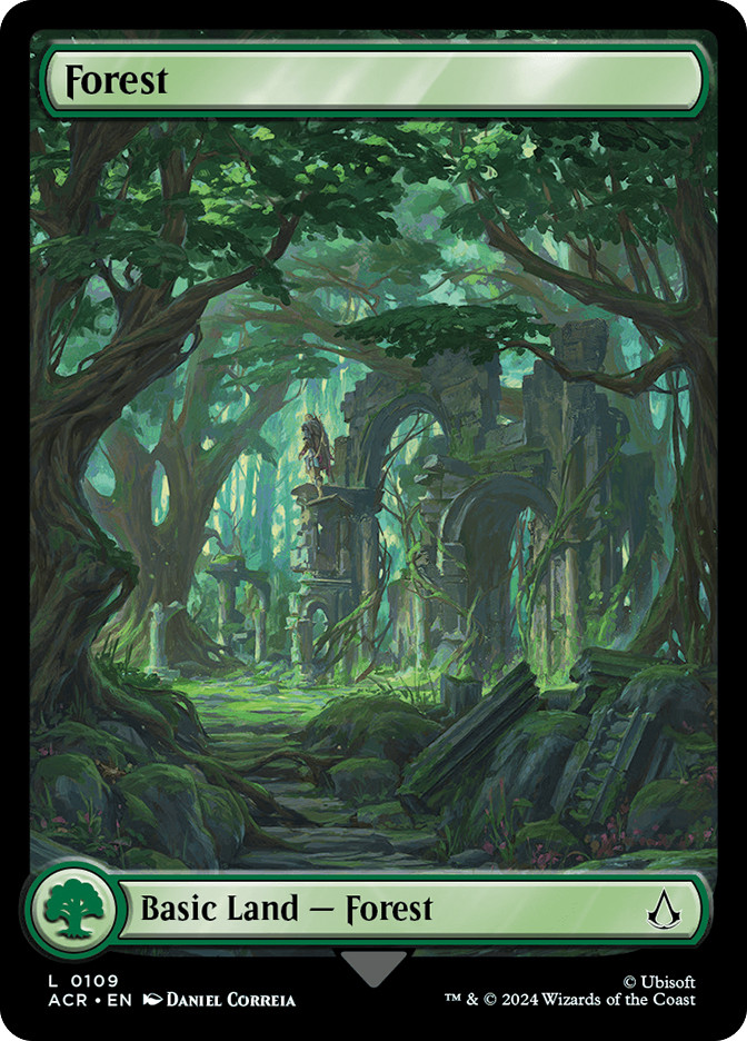 MTG 森　AP アーティストプルーフ　 Forest MTG 森 AP アーティストプルーフ Forest MTG 森 AP アーティスト