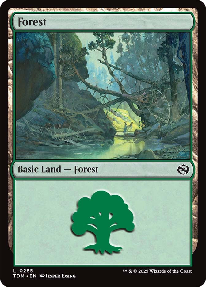 Forest (#285) | Tarkir: Dragonstorm | Star City Games