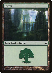 Forest (#303)\nRavnica: City of Guilds\nSingle\nMagic The Gathering