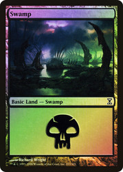 Swamp (#293)\nTime Spiral\nSingle\nMagic The Gathering