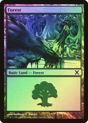 Forest (#380)\n10th Edition\nSingle\nMagic The Gathering