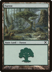 Forest (#382)\n10th Edition\nSingle\nMagic The Gathering