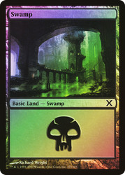 Swamp (#375)\n10th Edition\nSingle\nMagic The Gathering