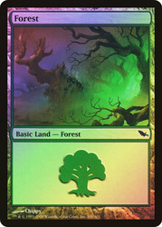 Forest (#300)\nShadowmoor\nSingle\nMagic The Gathering
