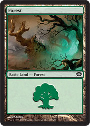 Forest (#167)\nPlanechase: 2009 Edition\nSingle\nMagic The Gathering