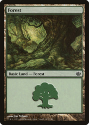 Forest (#31)\nDuel Decks: Garruk vs. Liliana\nSingle\nMagic The Gathering