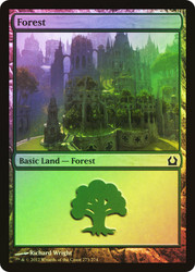 Forest (#273)\nReturn to Ravnica\nSingle\nMagic The Gathering