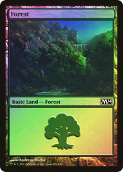 Forest (#249)\nMagic 2014 Core Set\nSingle\nMagic The Gathering