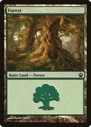 Forest (#249)\nTheros\nSingle\nMagic The Gathering