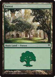 Forest (#85)\nDuel Decks: Jace vs. Vraska\nSingle\nMagic The Gathering