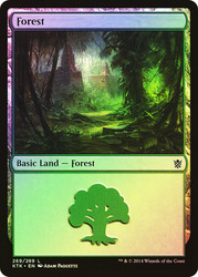 Forest (#269)\nKhans of Tarkir\nSingle\nMagic The Gathering