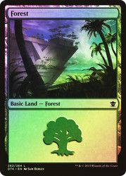 Forest (#262)\nDragons of Tarkir\nSingle\nMagic The Gathering