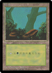 Forest (B) (BB)
4th Edition BB - Chinese - Traditional
Single
Magic The Gathering
